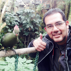 chandra noor rachman