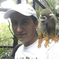 dimas angger dwi purna